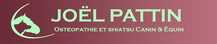 Joël PATTIN