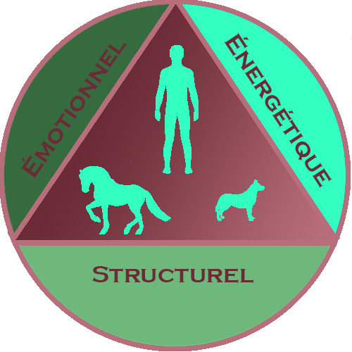 triangle_santé